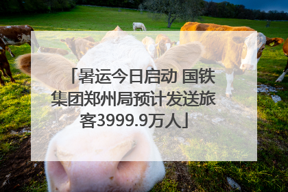 暑运今日启动 国铁集团郑州局预计发送旅客3999.9万人