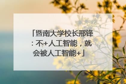 暨南大学校长邢锋：不+人工智能，就会被人工智能+