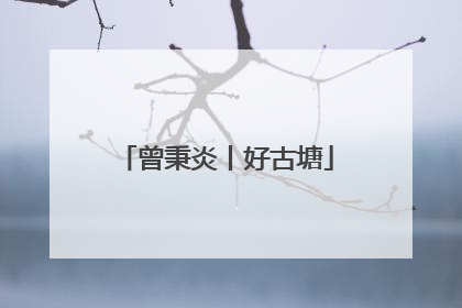 曾秉炎丨好古塘