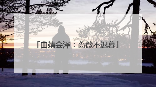 曲靖会泽：蔷薇不迟暮