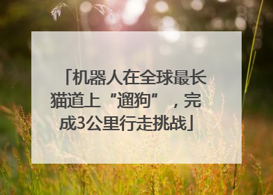 机器人在全球最长猫道上“遛狗”，完成3公里行走挑战