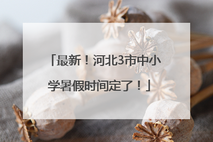 最新！河北3市中小学暑假时间定了！