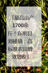 最高亩产1700余斤！东明县刘楼镇：高标准农田增效增收