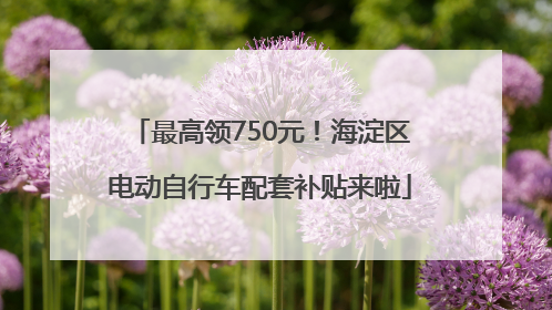 最高领750元！海淀区电动自行车配套补贴来啦