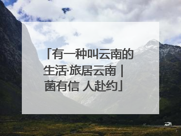 有一种叫云南的生活·旅居云南｜菌有信 人赴约