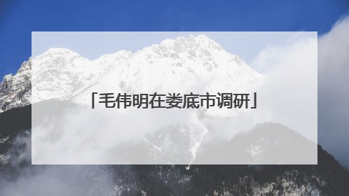 毛伟明在娄底市调研