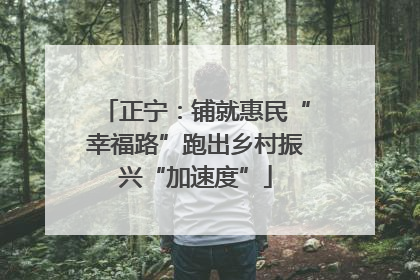 正宁：铺就惠民“幸福路”跑出乡村振兴“加速度”