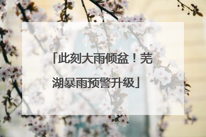 此刻大雨倾盆！芜湖暴雨预警升级