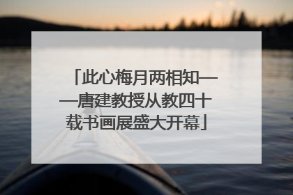 此心梅月两相知——唐建教授从教四十载书画展盛大开幕