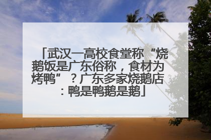 武汉一高校食堂称“烧鹅饭是广东俗称，食材为烤鸭”？广东多家烧鹅店：鸭是鸭鹅是鹅