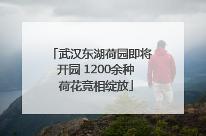 武汉东湖荷园即将开园 1200余种荷花竞相绽放
