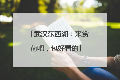 武汉东西湖：来赏荷吧，包好看的