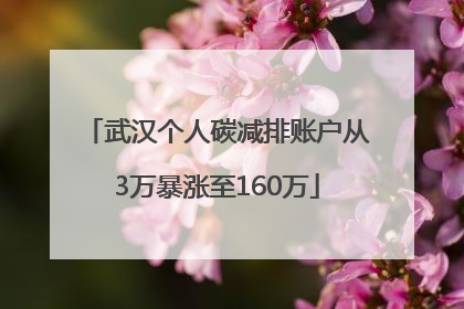 武汉个人碳减排账户从3万暴涨至160万