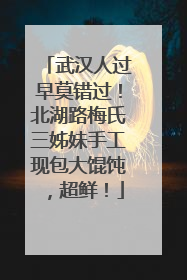 武汉人过早莫错过！北湖路梅氏三姊妹手工现包大馄饨，超鲜！