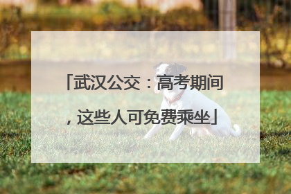 武汉公交:高考期间,这些人可免费乘坐