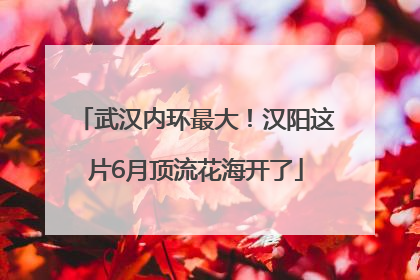 武汉内环最大！汉阳这片6月顶流花海开了