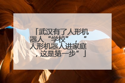武汉有了人形机器人“学校”，“人形机器人进家庭，这是第一步”