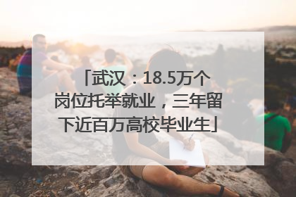 武汉：18.5万个岗位托举就业，三年留下近百万高校毕业生