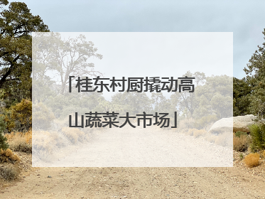 桂东村厨撬动高山蔬菜大市场