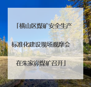 横山区煤矿安全生产标准化建设现场观摩会在朱家峁煤矿召开