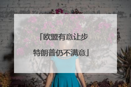 欧盟有意让步 特朗普仍不满意