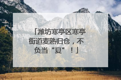 潍坊寒亭区寒亭街道麦熟归仓，不负当“夏”！