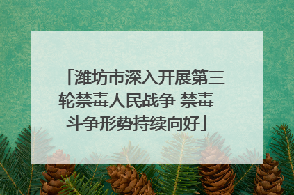 潍坊市深入开展第三轮禁毒人民战争 禁毒斗争形势持续向好