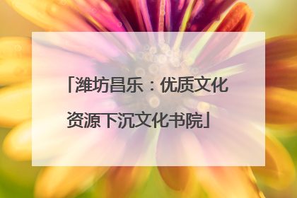 潍坊昌乐：优质文化资源下沉文化书院
