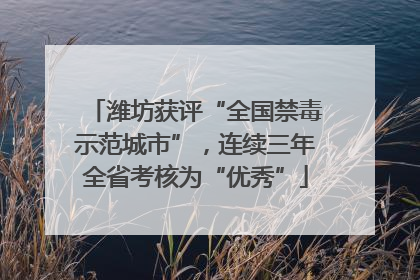潍坊获评“全国禁毒示范城市”，连续三年全省考核为“优秀”