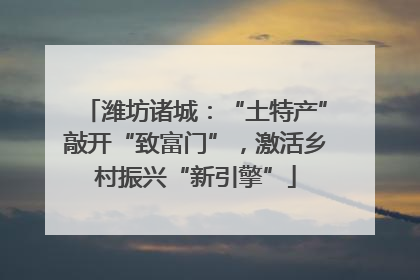 潍坊诸城：“土特产”敲开“致富门”，激活乡村振兴“新引擎”
