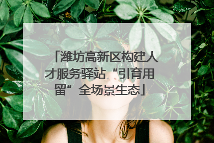 潍坊高新区构建人才服务驿站“引育用留”全场景生态