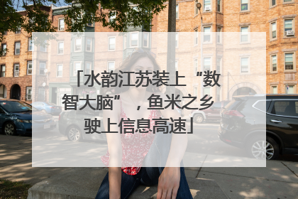 水韵江苏装上“数智大脑”，鱼米之乡驶上信息高速