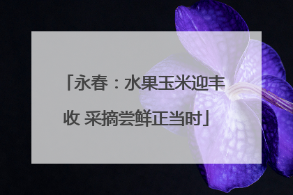 永春：水果玉米迎丰收 采摘尝鲜正当时