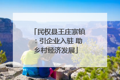民权县王庄寨镇：引企业入驻 助乡村经济发展