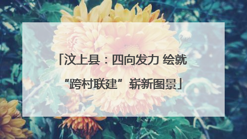 汶上县：四向发力 绘就“跨村联建”崭新图景