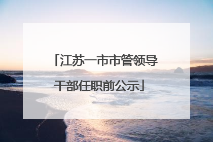 江苏一市市管领导干部任职前公示