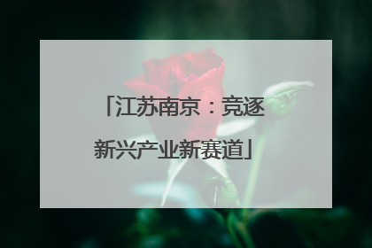 江苏南京：竞逐新兴产业新赛道