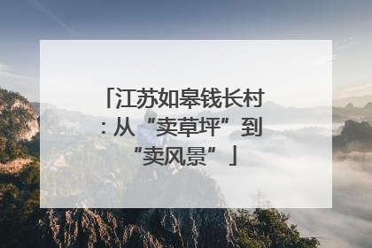 江苏如皋钱长村：从“卖草坪”到“卖风景”
