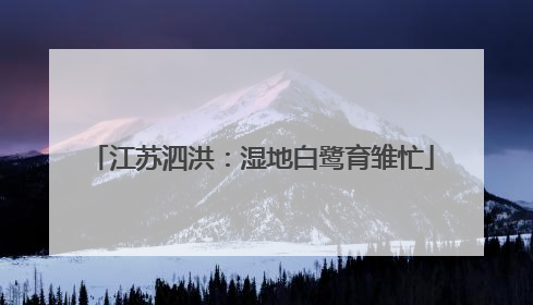 江苏泗洪：湿地白鹭育雏忙