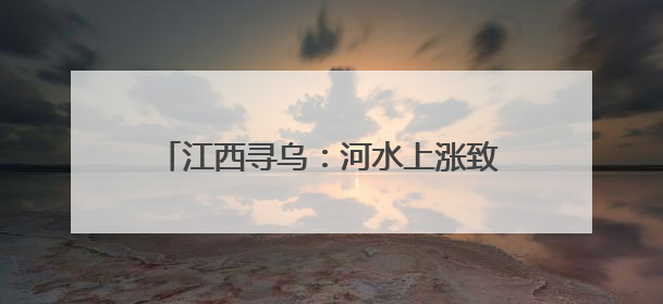 江西寻乌：河水上涨致2名小孩被困大桥桥墩 民警蹚水紧急救援