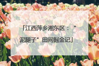 江西萍乡湘东区：“泥腿子”田间掘金记