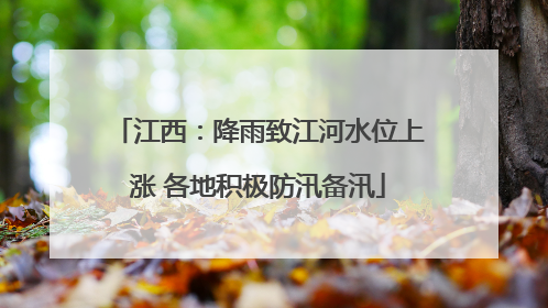 江西：降雨致江河水位上涨 各地积极防汛备汛