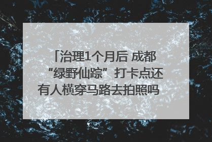 治理1个月后 成都“绿野仙踪”打卡点还有人横穿马路去拍照吗？｜民情瞭望
