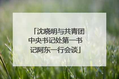沈晓明与共青团中央书记处第一书记阿东一行会谈
