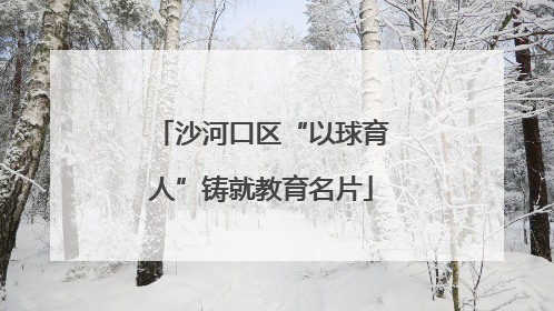 沙河口区“以球育人”铸就教育名片