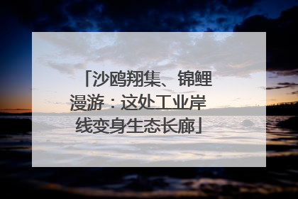 沙鸥翔集、锦鲤漫游：这处工业岸线变身生态长廊