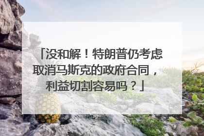 没和解！特朗普仍考虑取消马斯克的政府合同，利益切割容易吗？