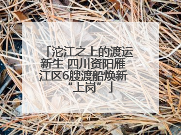 沱江之上的渡运新生 四川资阳雁江区6艘渡船焕新“上岗”