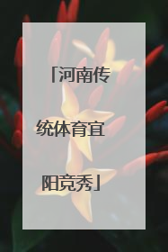 河南传统体育宜阳竞秀