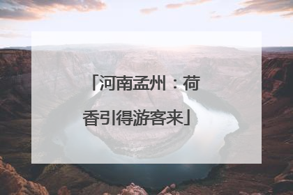 河南孟州：荷香引得游客来